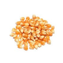 Popcorn Kernels 1/4kg