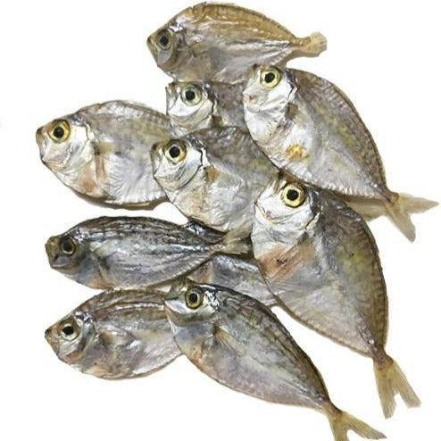 Dried Fish In The Philippines Hello Wasn't Sure Where To Ask This But,